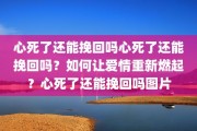 心死了还能挽回吗心死了还能挽回吗？如何让爱情重新燃起？心死了还能挽回吗图片