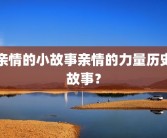 亲情的小故事亲情的力量历史故事？