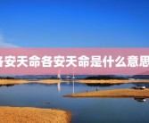 各安天命各安天命是什么意思？