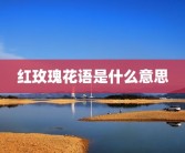 红玫瑰花语是什么意思