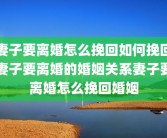 妻子要离婚怎么挽回如何挽回妻子要离婚的婚姻关系妻子要离婚怎么挽回婚姻