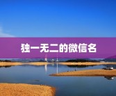 独一无二的微信名