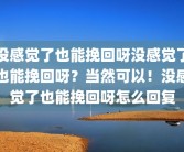 没感觉了也能挽回呀没感觉了也能挽回呀？当然可以！没感觉了也能挽回呀怎么回复