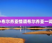 小布尔乔亚情调布尔乔亚一词？