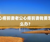 心疼前妻老公心疼前妻我要怎么办？