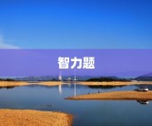 智力题