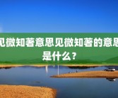 见微知著意思见微知著的意思是什么？
