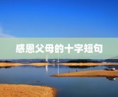 感恩父母的十字短句