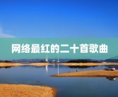 网络最红的二十首歌曲
