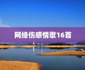网络伤感情歌16首