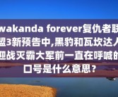 wakanda forever复仇者联盟3新预告中,黑豹和瓦坎达人迎战灭霸大军前一直在呼喊的口号是什么意思？