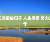 正能量的句子 人生感悟 努力工作
