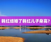 韩红结婚了韩红儿子身高？