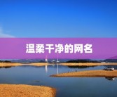 温柔干净的网名