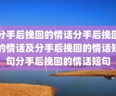 分手后挽回的情话分手后挽回的情话及分手后挽回的情话短句分手后挽回的情话短句