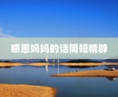 感恩妈妈的话简短精辟