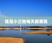 我是小三他每天都要我