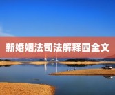新婚姻法司法解释四全文