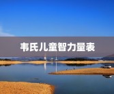 韦氏儿童智力量表