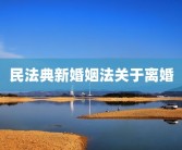 民法典新婚姻法关于离婚