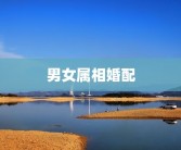 男女属相婚配