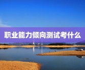 职业能力倾向测试考什么