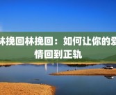 林挽回林挽回：如何让你的爱情回到正轨