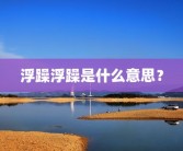 浮躁浮躁是什么意思？