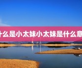 什么是小太妹小太妹是什么意？