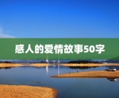 感人的爱情故事50字