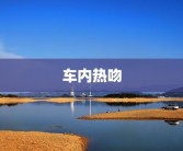 车内热吻