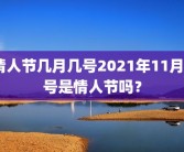 情人节几月几号2021年11月9号是情人节吗？