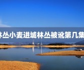 林丛小麦进城林丛被讹第几集？