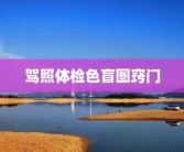驾照体检色盲图窍门