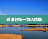 感谢老师一句话精辟
