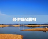 最佳婚配属相