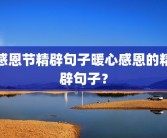 感恩节精辟句子暖心感恩的精辟句子？