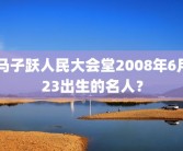 马子跃人民大会堂2008年6月23出生的名人？