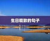 生日精致的句子