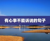 有心事不能诉说的句子