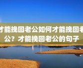 才能挽回老公如何才能挽回老公？才能挽回老公的句子