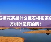 石楠花茶是什么梗石楠花茶东方树叶是真的吗？