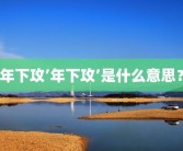 年下攻’年下攻’是什么意思？