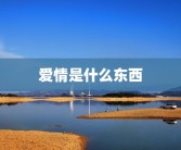 爱情是什么东西