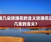 送几朵玫瑰花的含义玫瑰花送几支的含义？