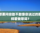 想要问你敢不敢像你说过的那样爱我歌词？