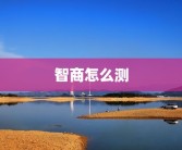 智商怎么测