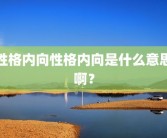 性格内向性格内向是什么意思啊？