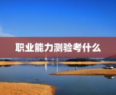 职业能力测验考什么