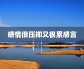 感情很压抑又很累感言